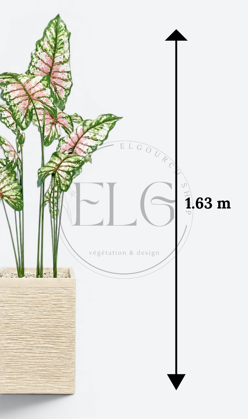 Caladium - plante artificielle