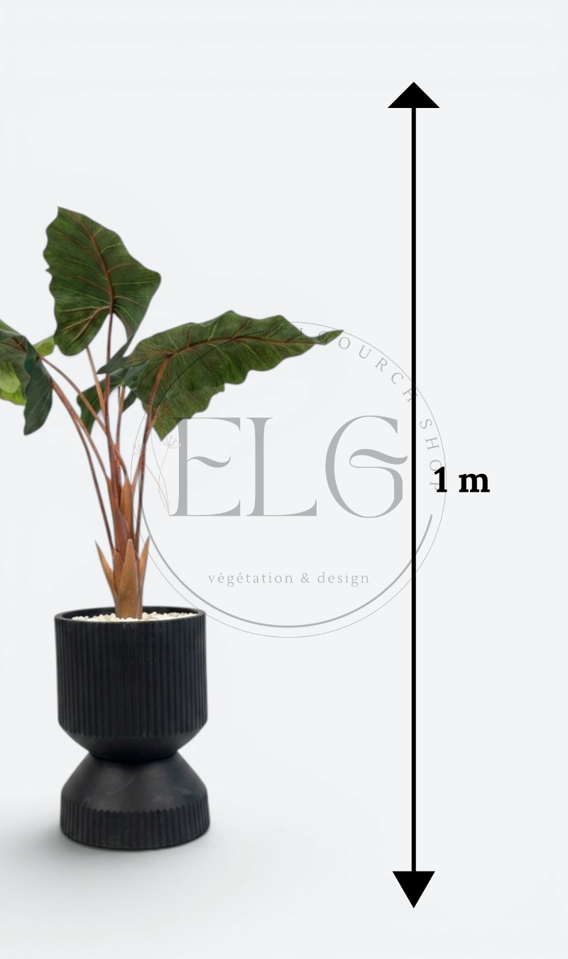 Alocasia - plante artificielle