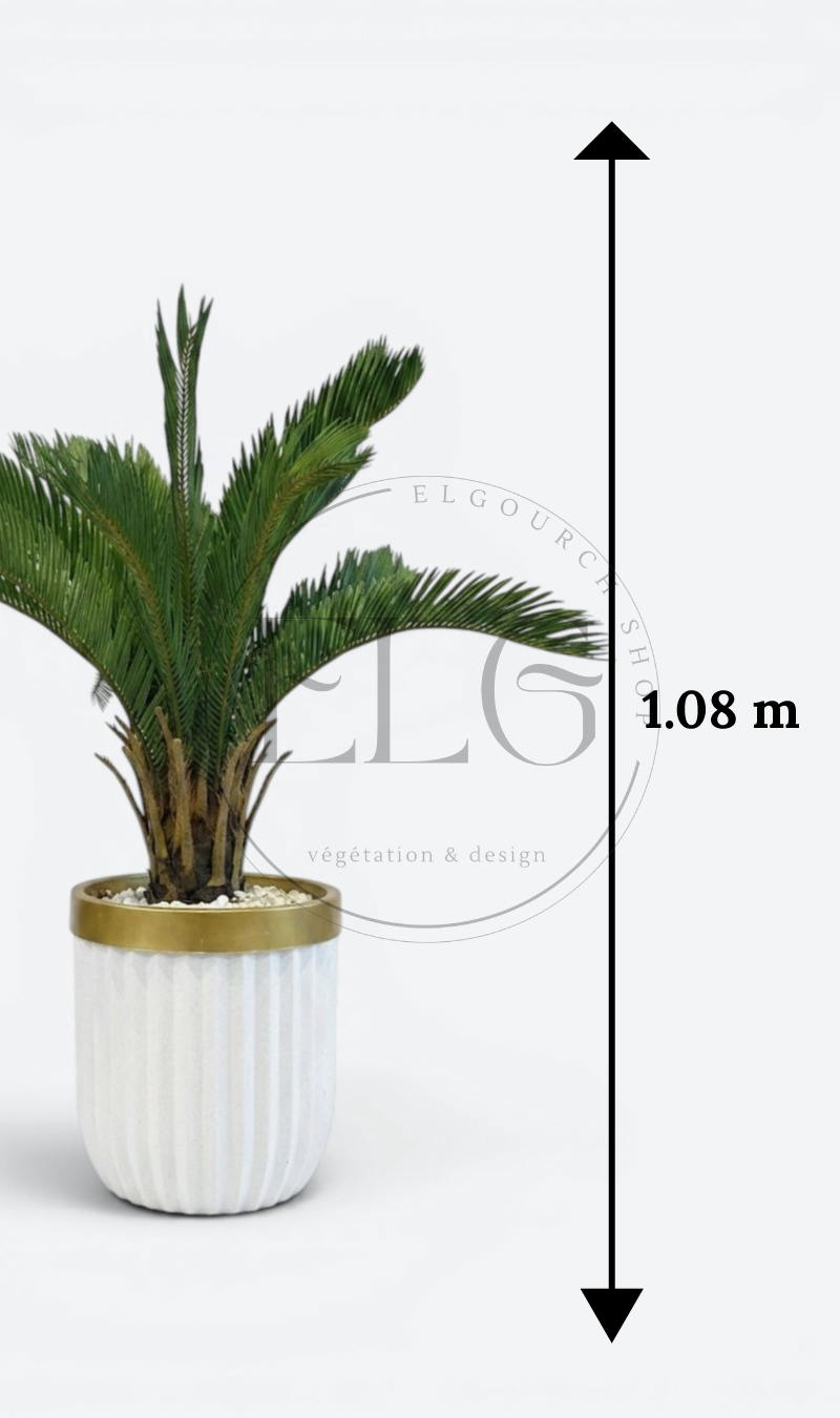 Cycas - plante artificielle