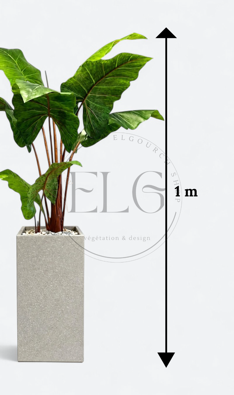 Alocasia - plante artificielle