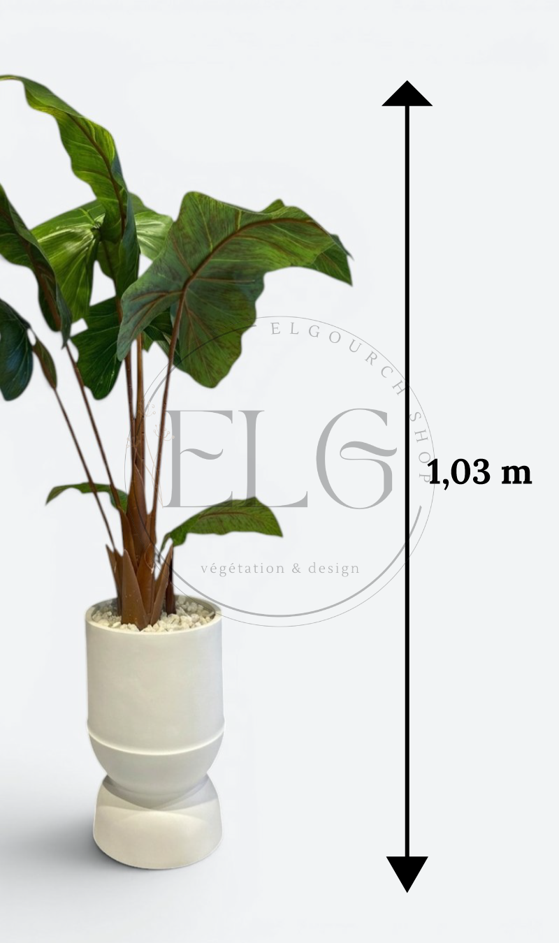 Alocasia - plante artificielle