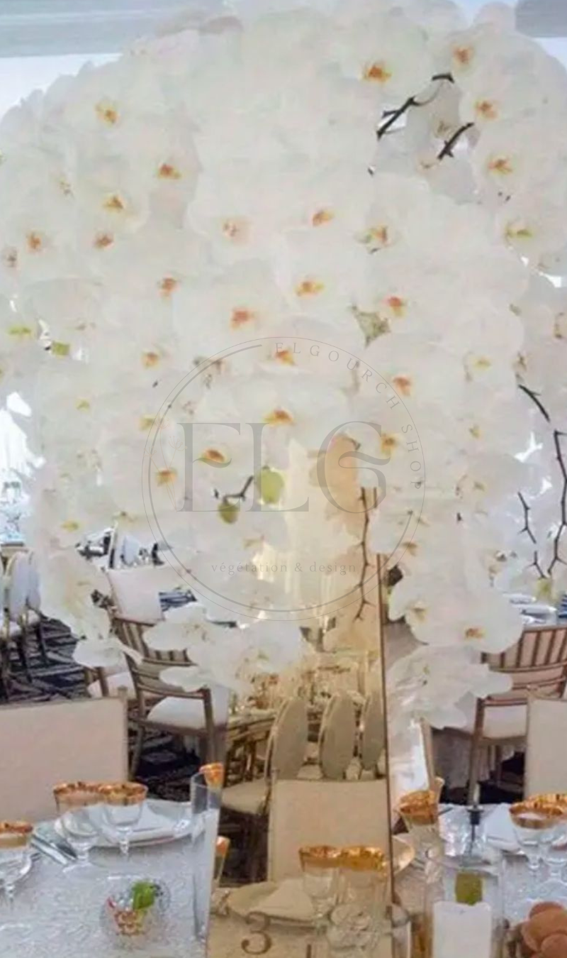 Fleur orchidée