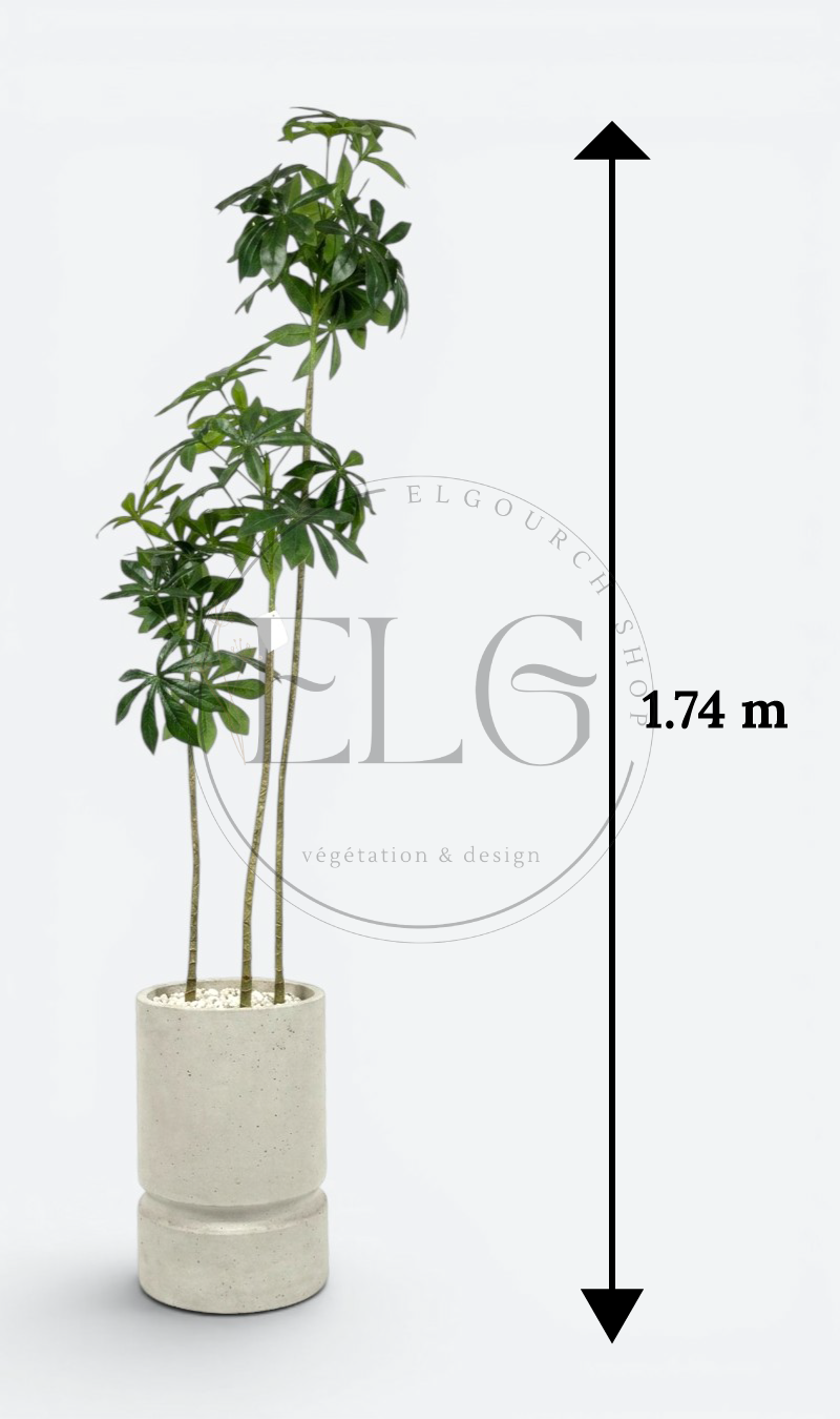 Schefflera - plante artificielle