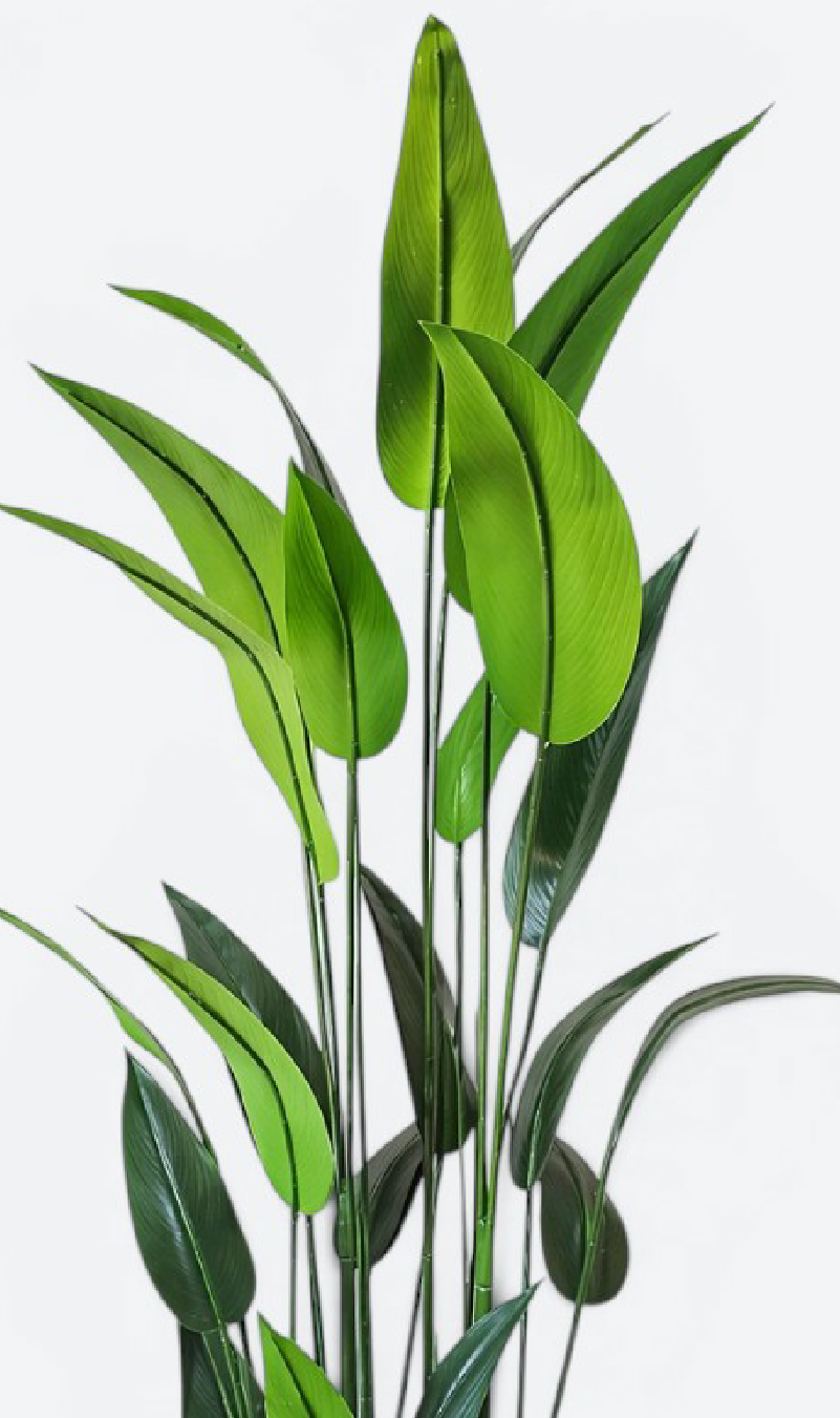 OISEAUX DE PARADIS - plante artificielle
