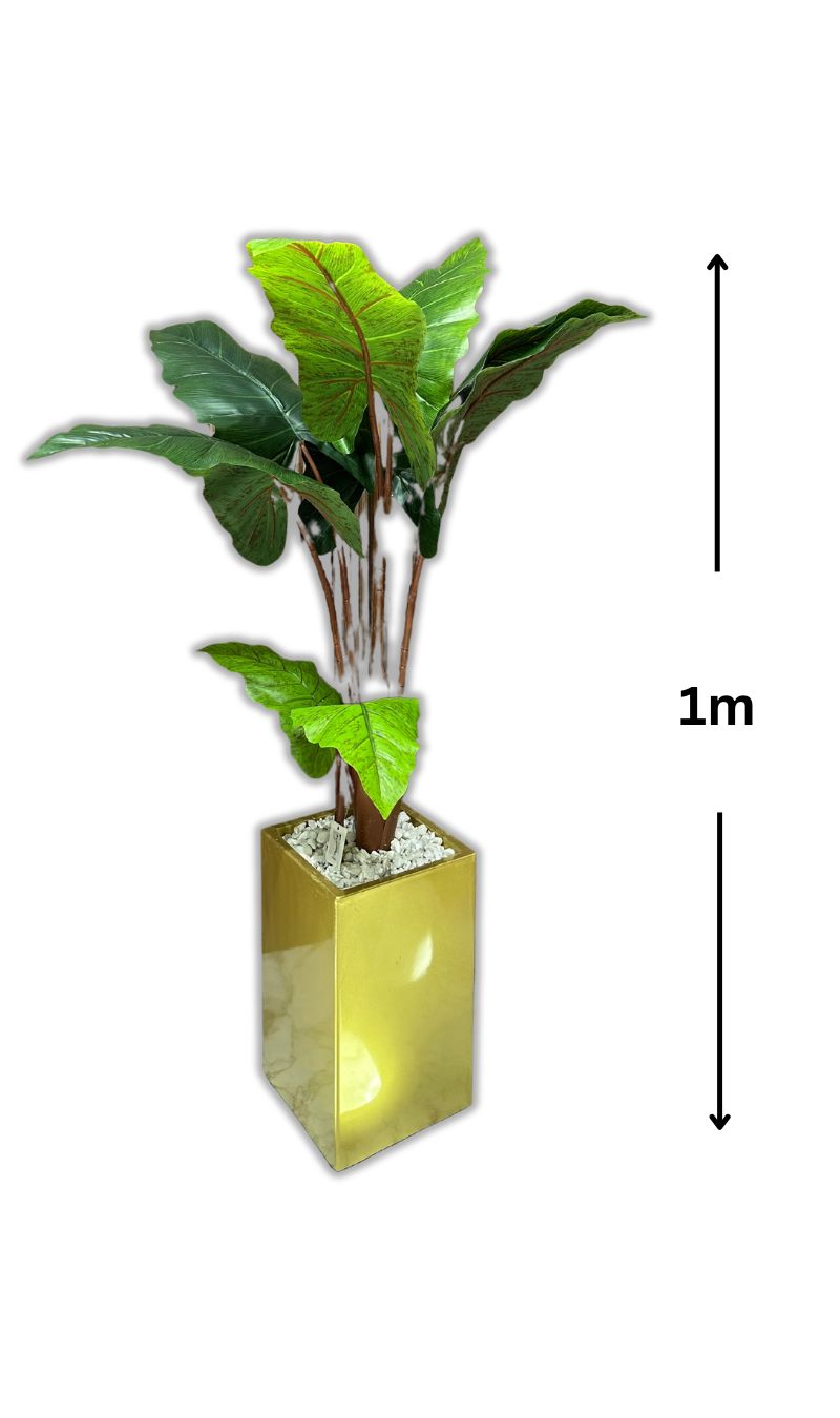 Verte Sérénité
