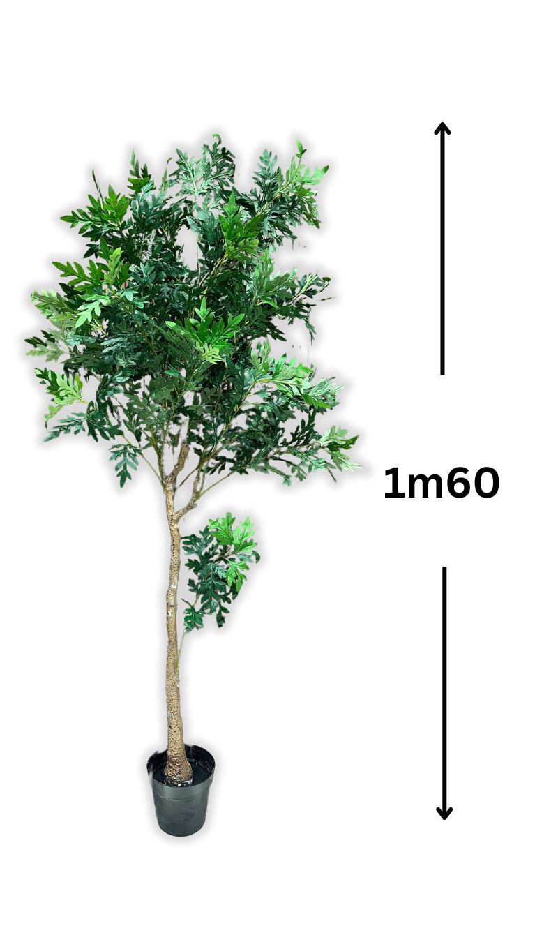 Arbre Arbuste Verdoyant (sans pot)