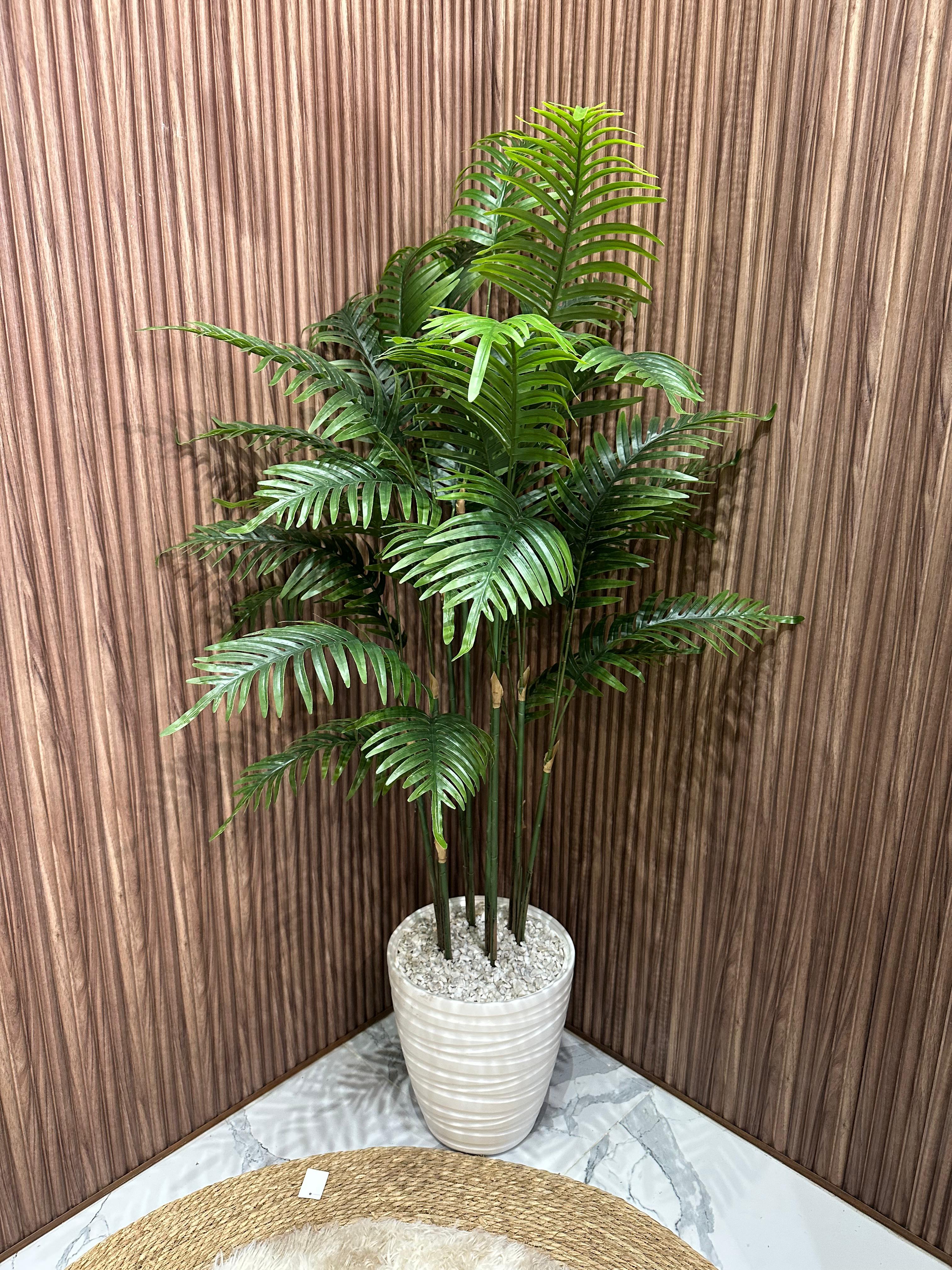 Palmier luxe