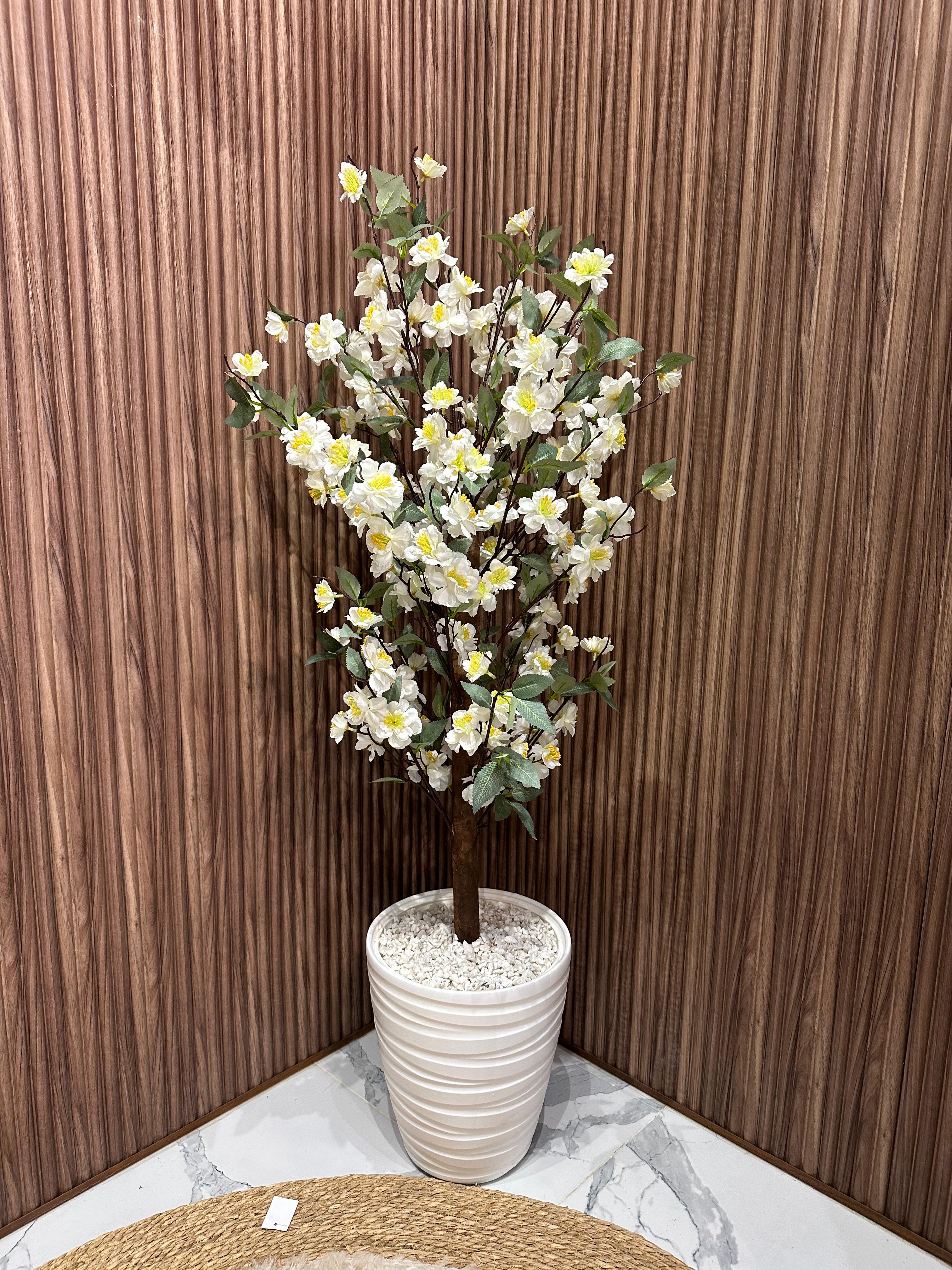 Arbre Amandier