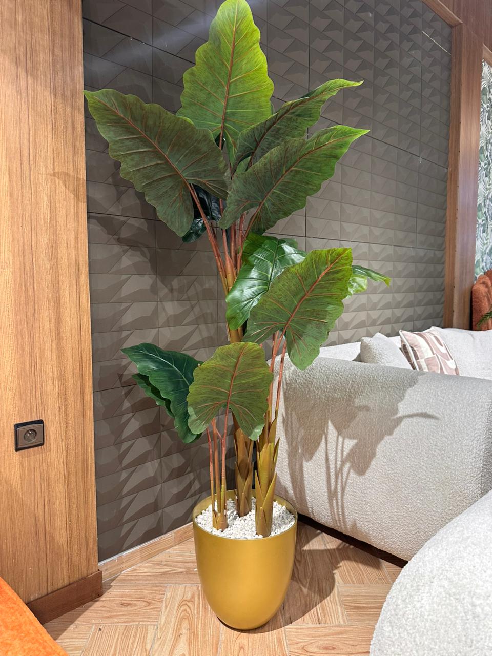 Arbre Betterave Double
