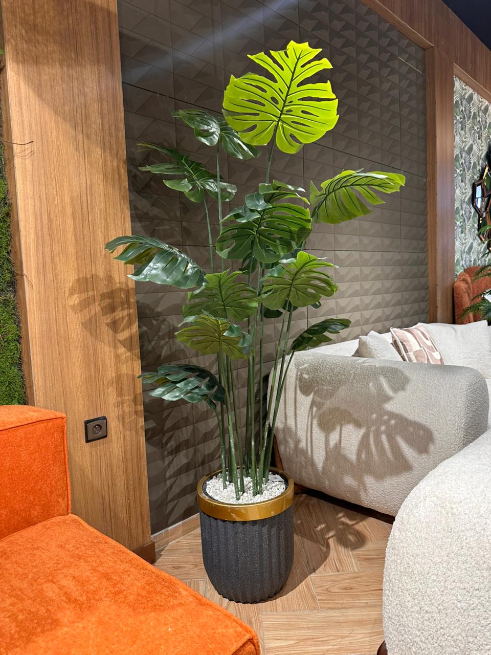Arbre Filou GF