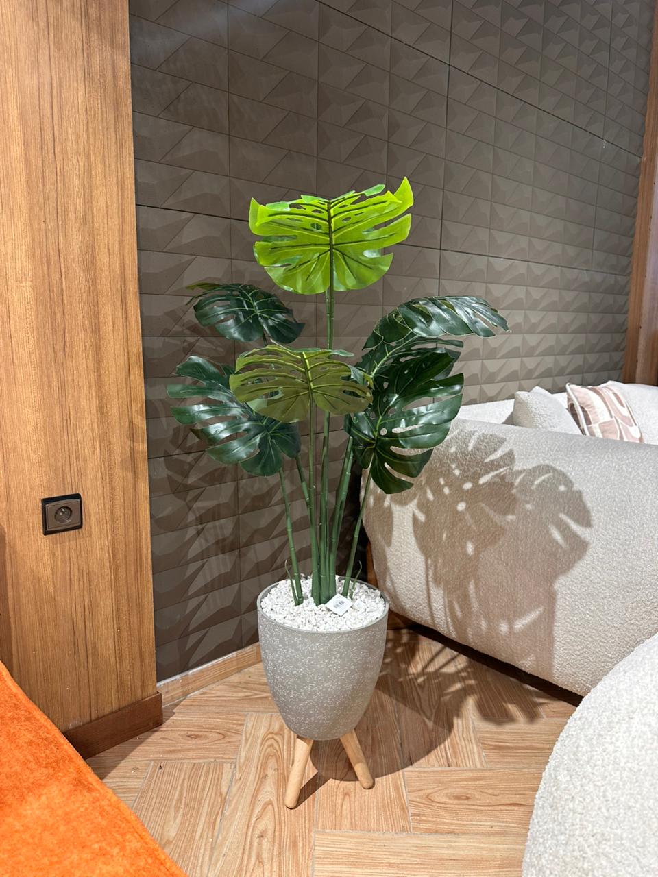 Arbre Filou prestige