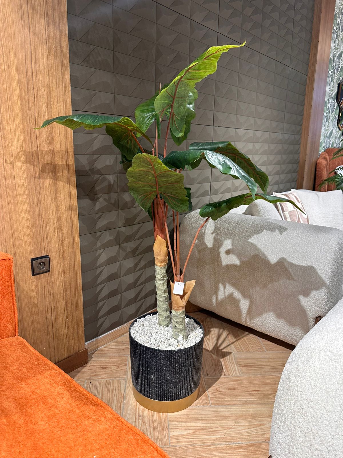 Arbre Batterave MF
