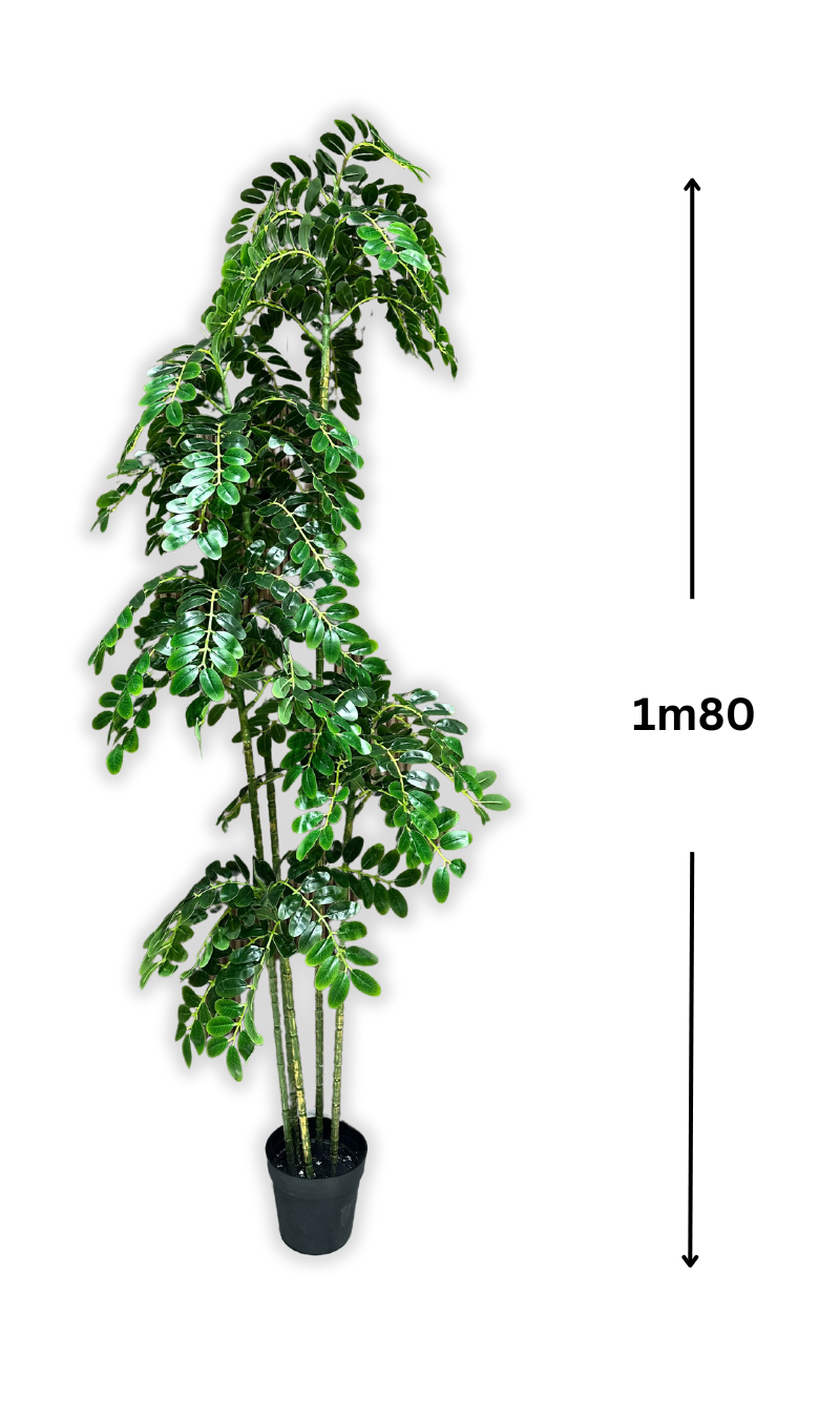 Cascade de Feuilles (sans pot)