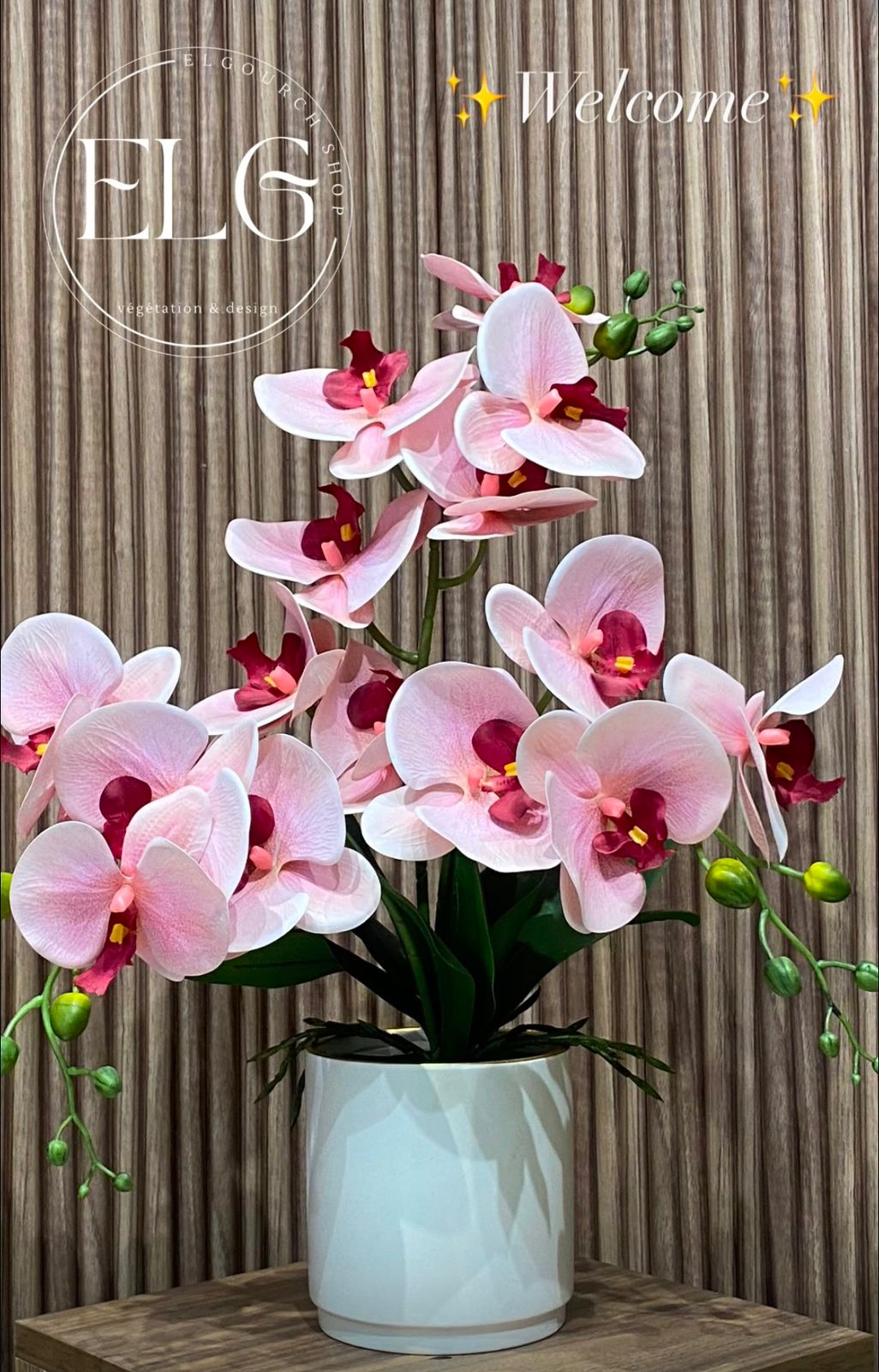 Pack Royal Orchidée