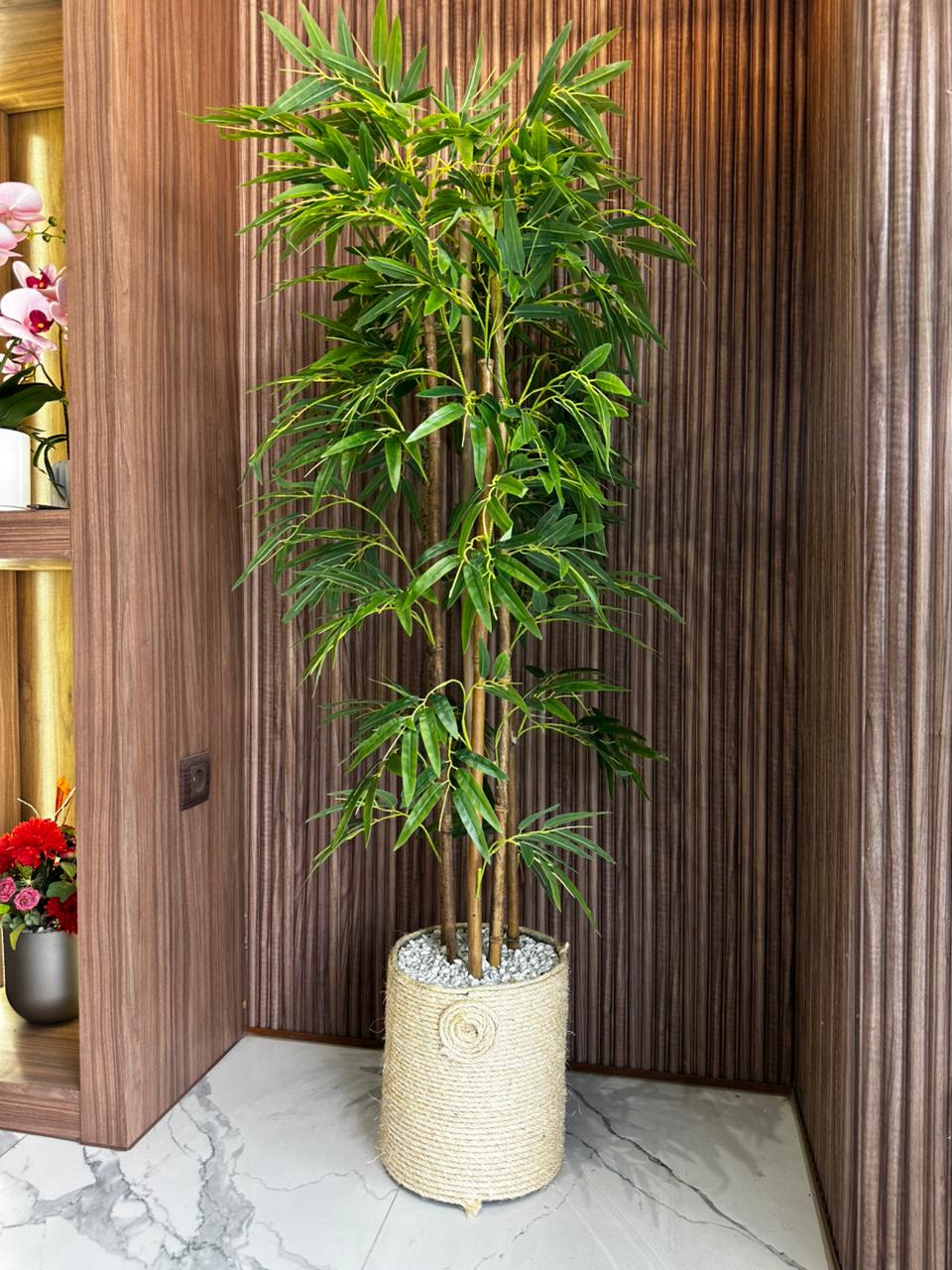 Bambou Prestige