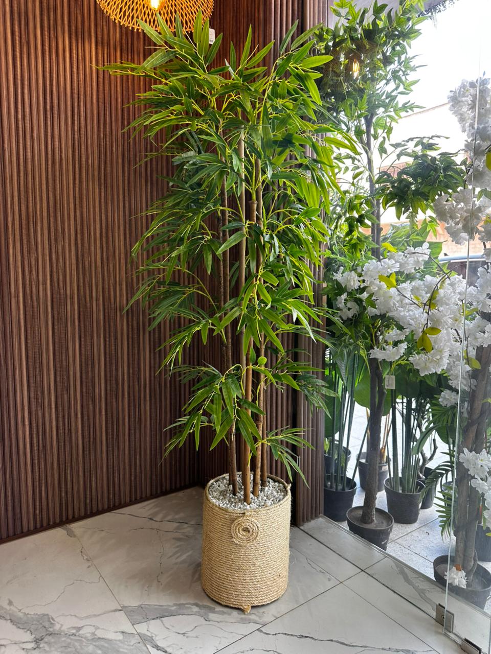 Bambou Prestige