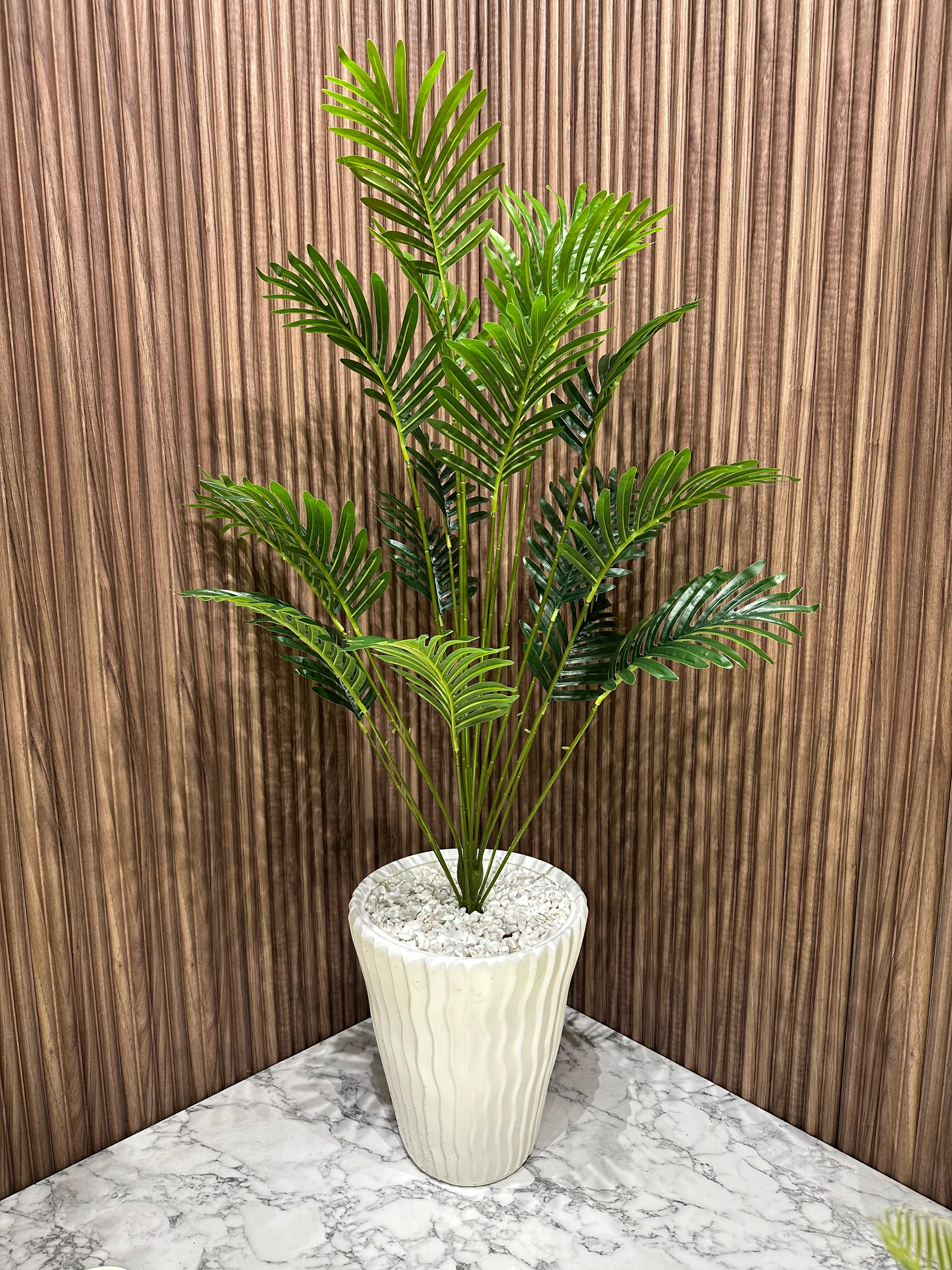 Plante Jardin Tropical