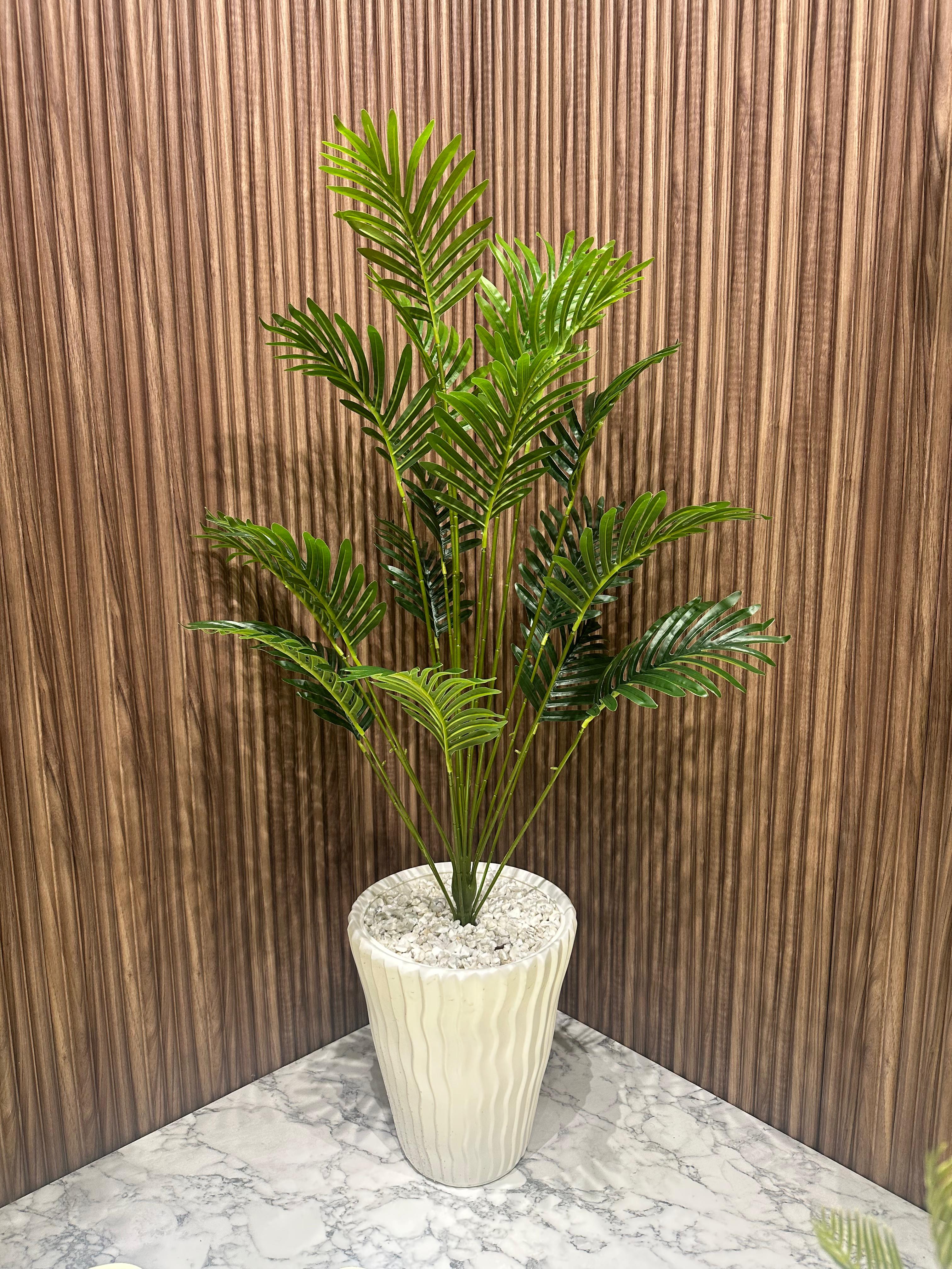 Plante Jardin Tropical